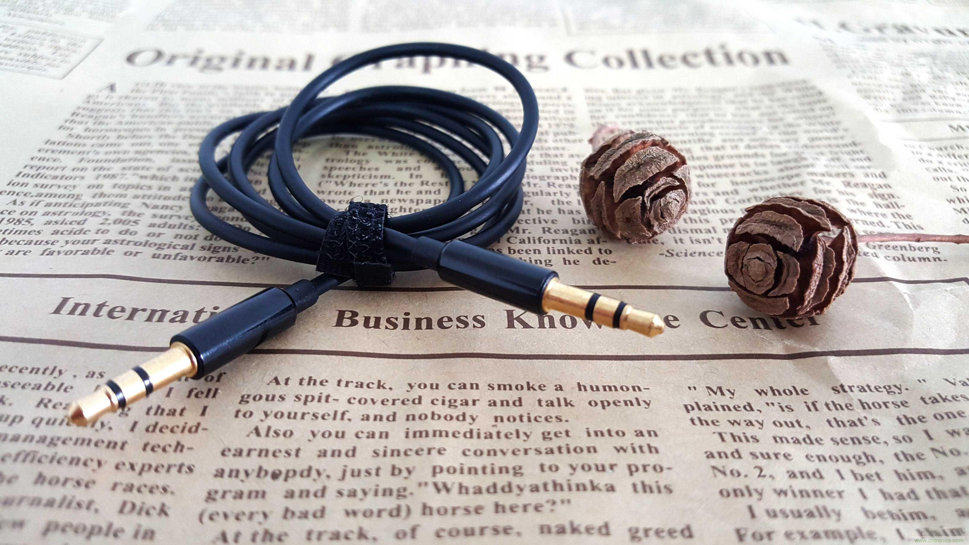 搞怪“美人魚”盡享靈克藍牙音箱的天籟之音!