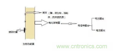 仿生傳感器的定義、原理、分類及應用