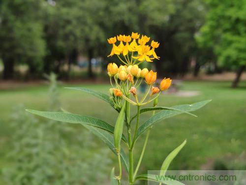 無數(shù)的拍攝，只為成就一個完美回憶