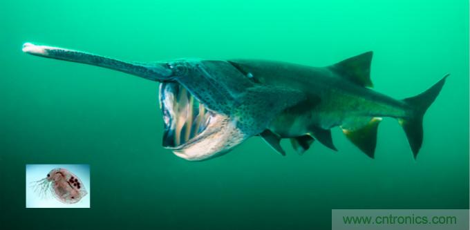 檢測不到信號，是加點噪聲？還是濾除噪聲？