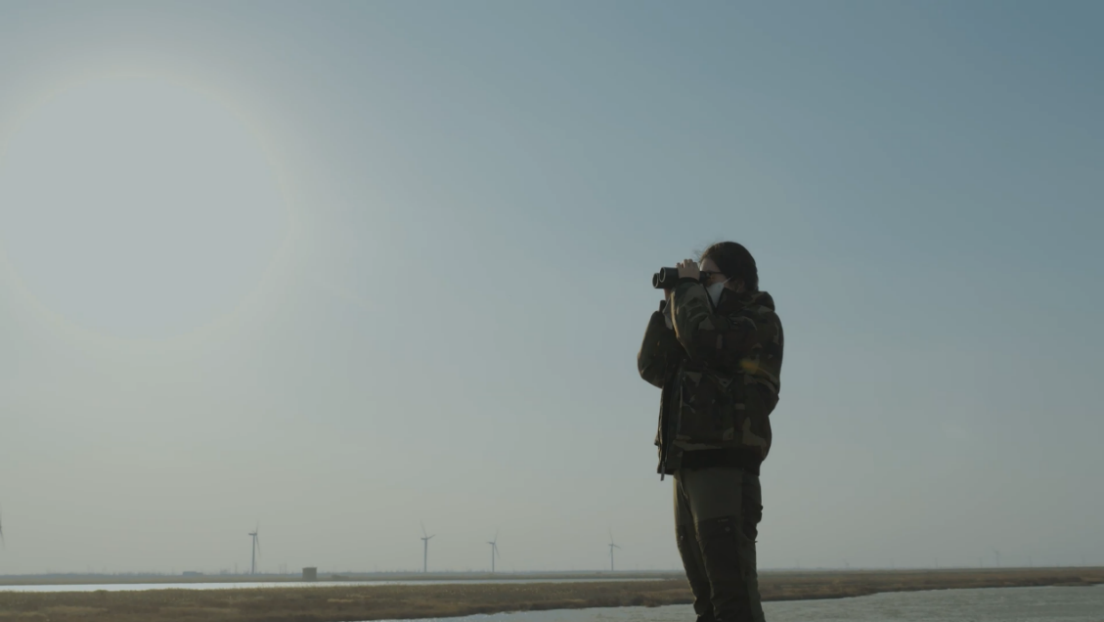 世界濕地日：海康威視攜手一個地球自然基金會，在上海守護這個重要“驛站”