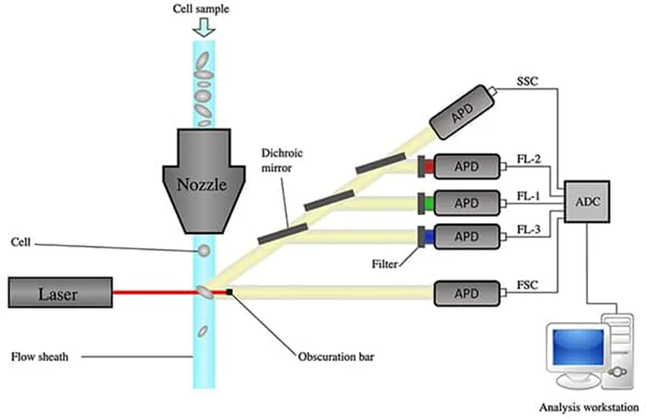 解決了！這個模塊解決了流式細胞儀設計的多個痛點！